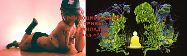 бошки Алзамай
