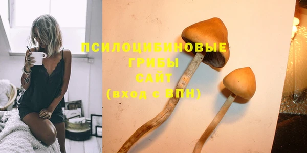 бошки Алзамай