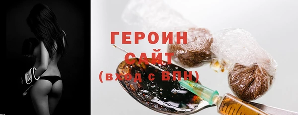 индика Вяземский