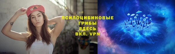 бошки Алзамай