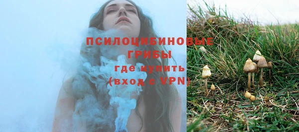 бошки Алзамай