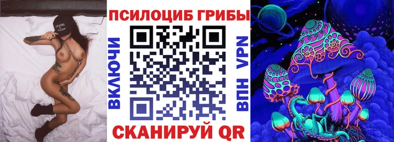 kraken   Азнакаево  Псилоцибиновые грибы Magic Shrooms 